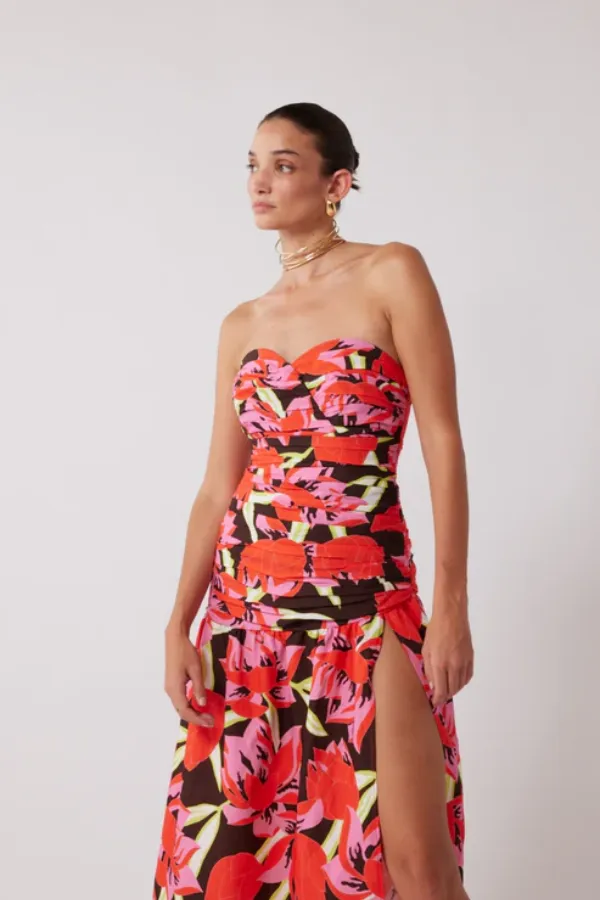 Dolcie Strapless Maxi Dress Rojo Print