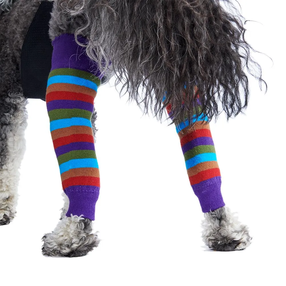 KNIT LEGGINGS | striped print
