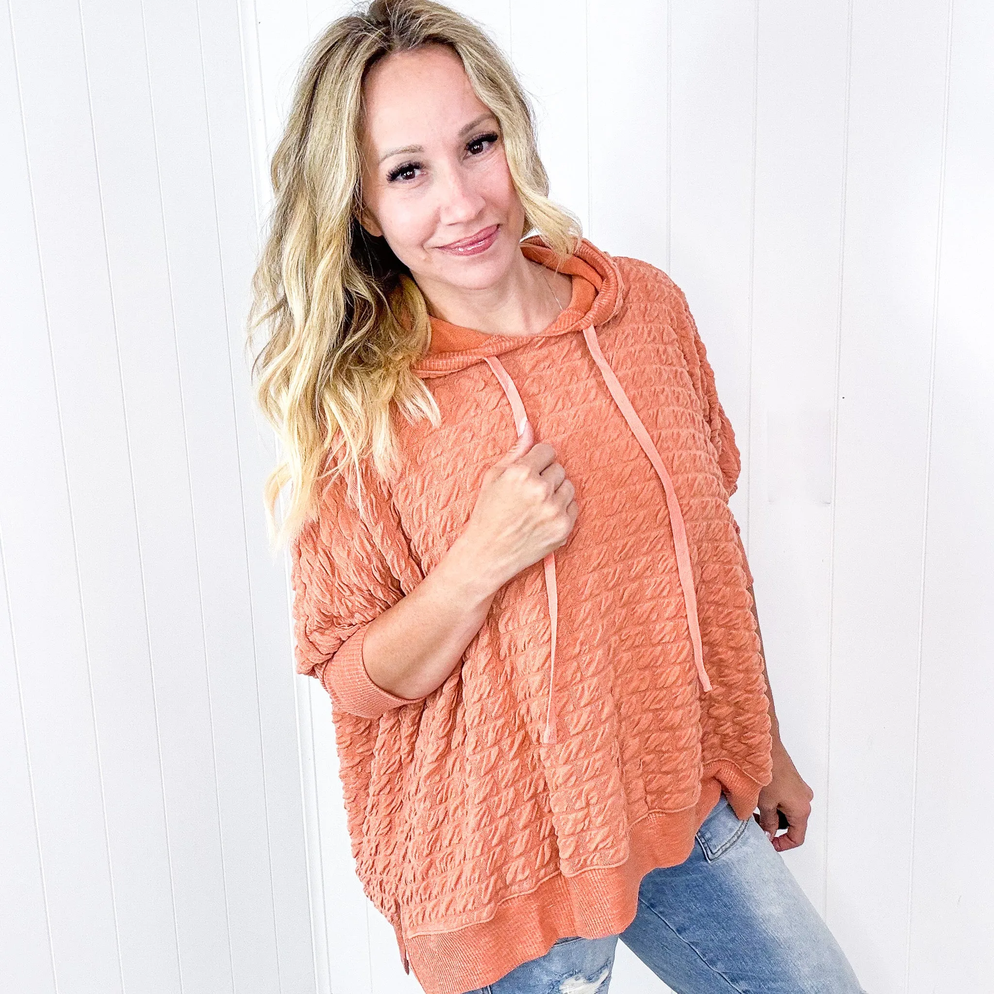 Soft Puff Textured Hacci Knit Teddy Pullover Quarter Sleeve Pullover Hoodie in 3 Colors