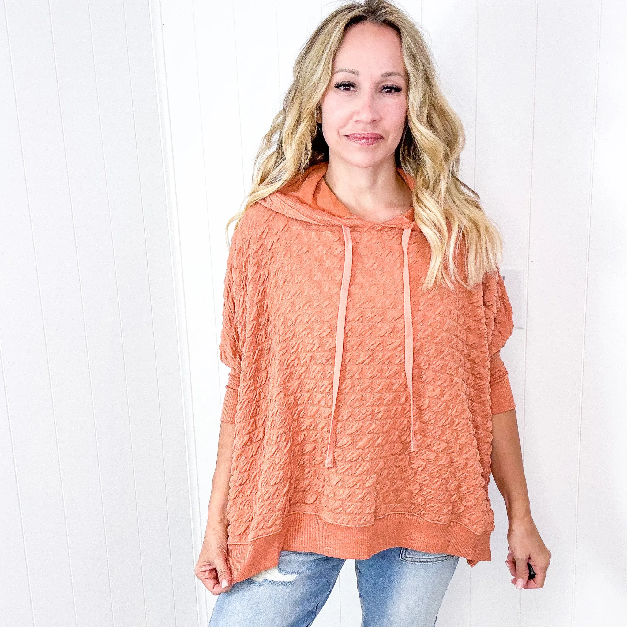 Soft Puff Textured Hacci Knit Teddy Pullover Quarter Sleeve Pullover Hoodie in 3 Colors